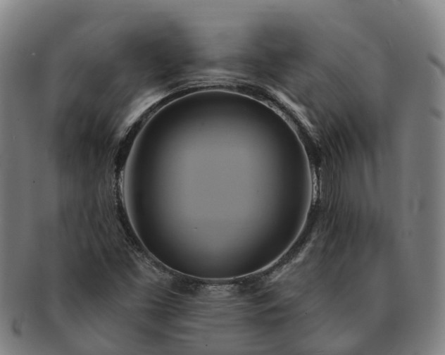 X0000091591453200708271232