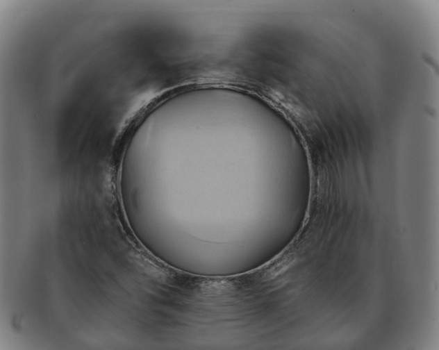 X0000091591454200708271232