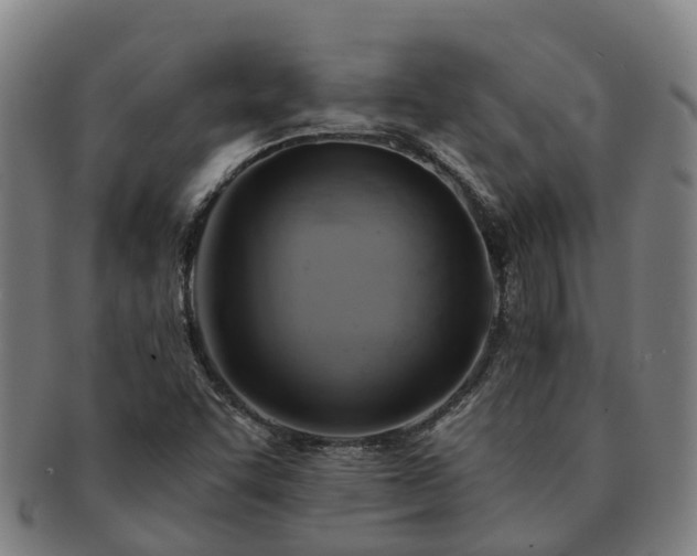X0000091591455200708271232