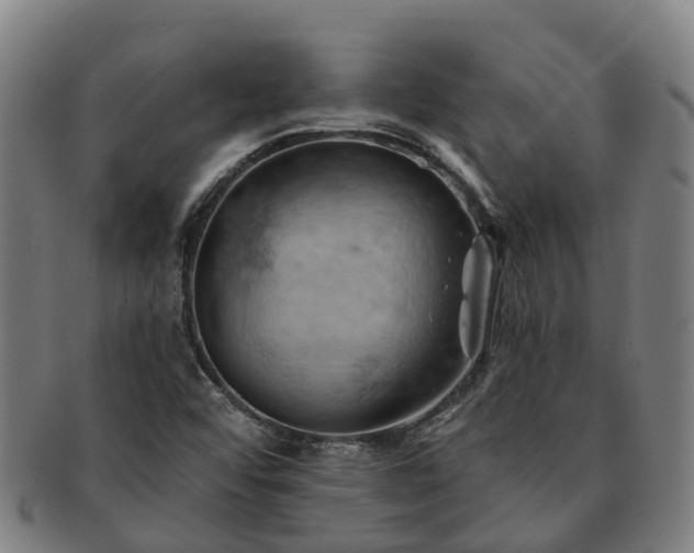 X0000091591456200708271232