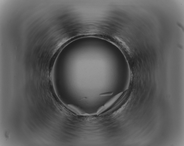 X0000091591457200708271232