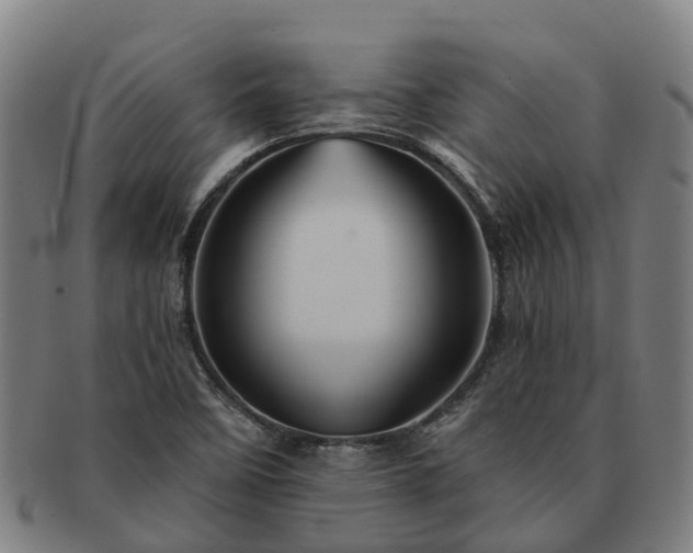 X0000091591458200708271232