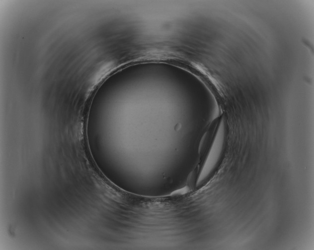 X0000091591459200708271232