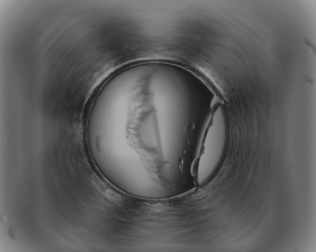 X0000091591460200708271232