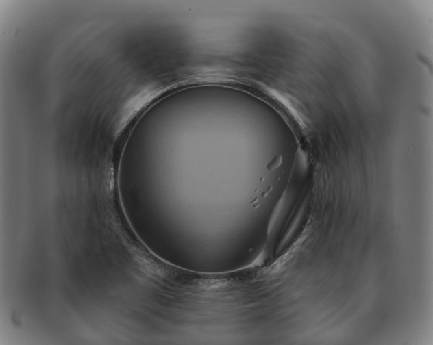 X0000091591461200708271232