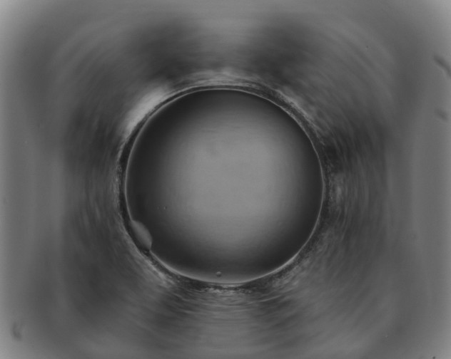 X0000091591463200708271232