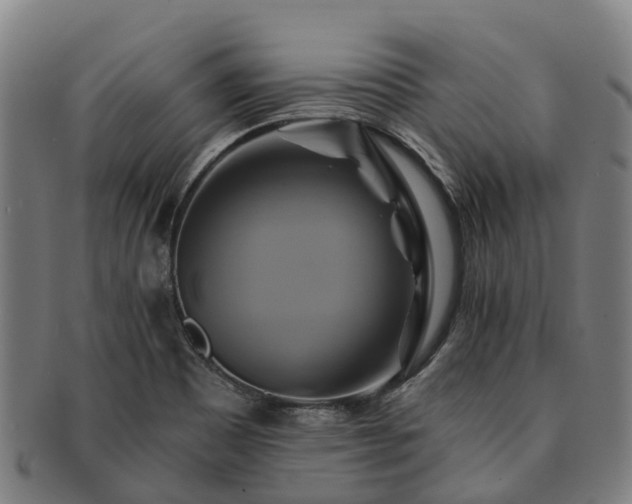 X0000091591465200708271232