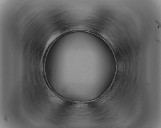 X0000091591466200708271232