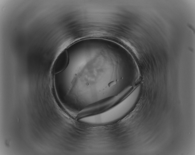 X0000091591467200708271232
