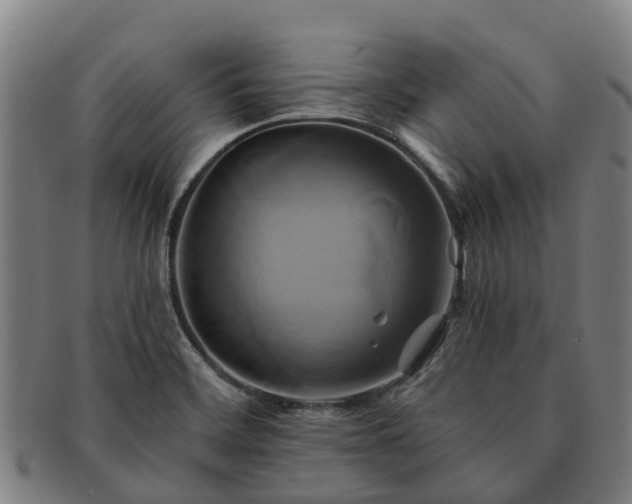 X0000091591468200708271232