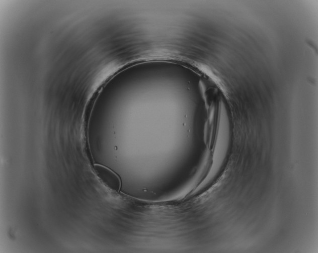 X0000091591469200708271232