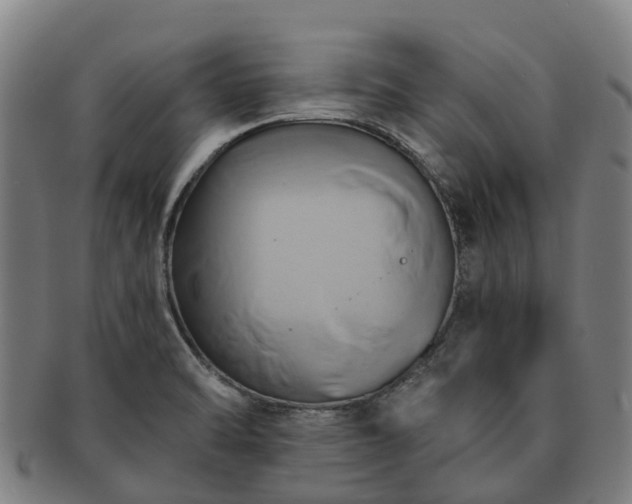 X0000091591470200708271232