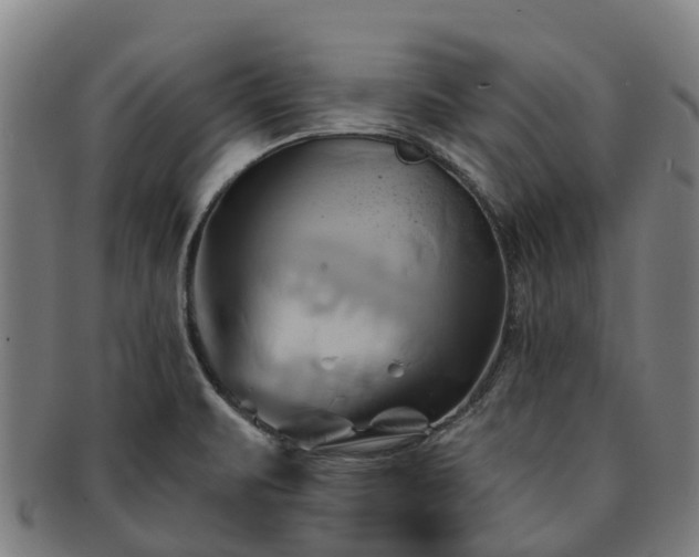 X0000091591471200708271232