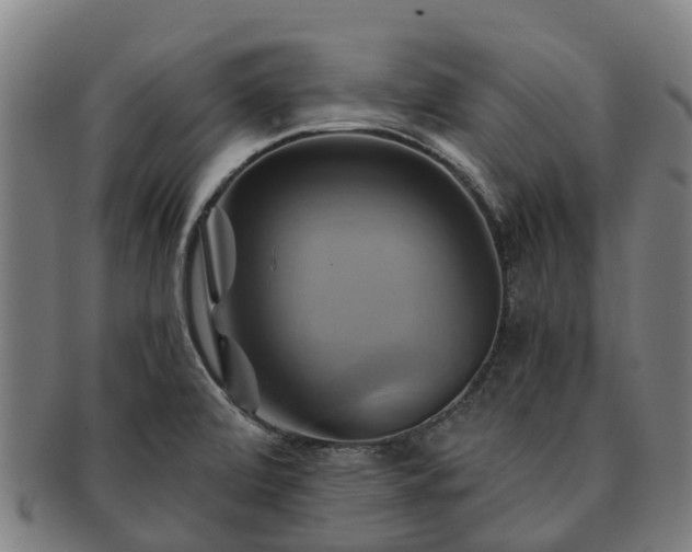 X0000091591472200708271232