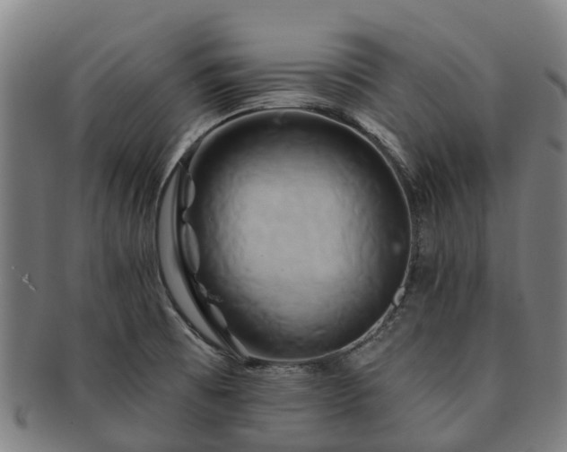 X0000091591473200708271232