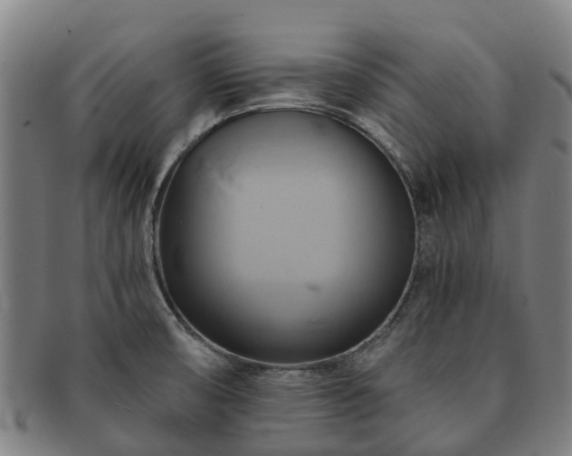X0000091591474200708271232