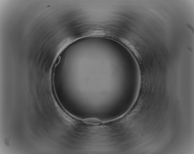 X0000091591475200708271232