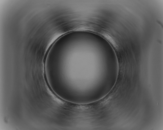 X0000091591476200708271232
