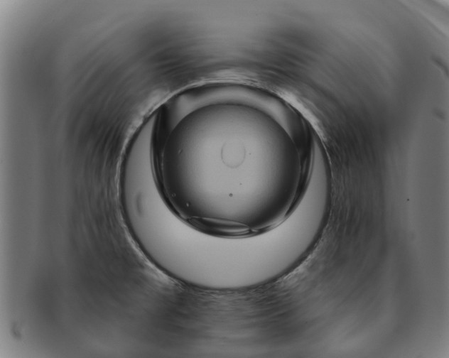 X0000091591477200708271232