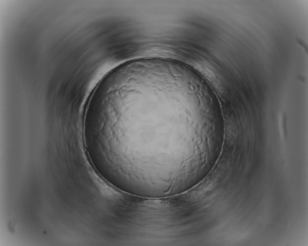 X0000091591478200708271232