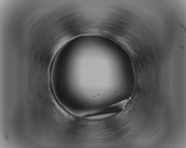 X0000091591479200708271232