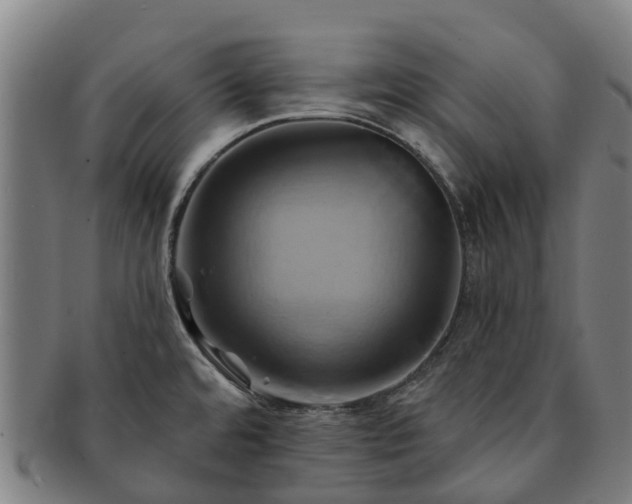 X0000091591480200708271232