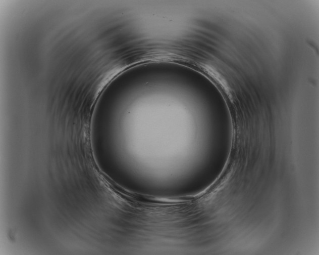 X0000091591481200708271232