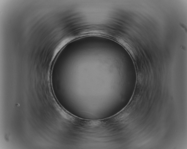 X0000091591482200708271231