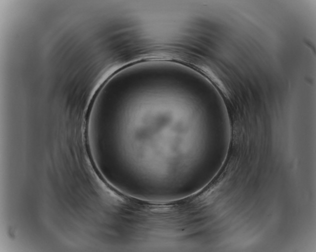 X0000091591484200708271231