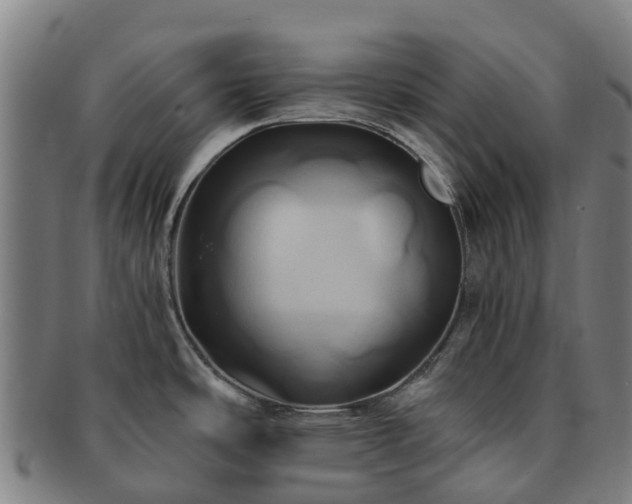 X0000091591486200708271231