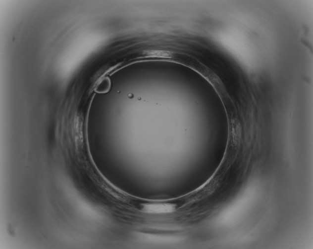 X0000091591487200708271231