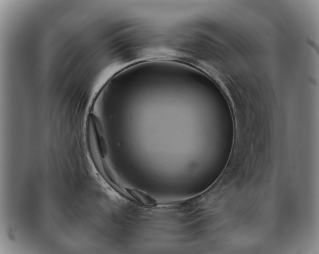 X0000091591488200708271231