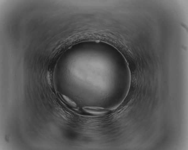 X0000091591490200708271231