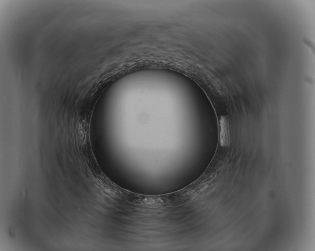 X0000091591491200708271231