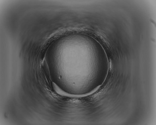 X0000091591492200708271231