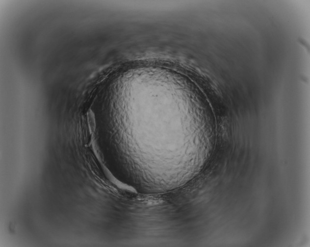 X0000091591493200708271231