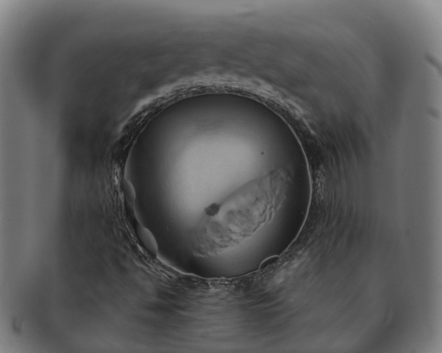 X0000091591494200708271231