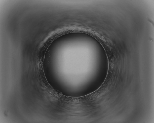X0000091591495200708271231