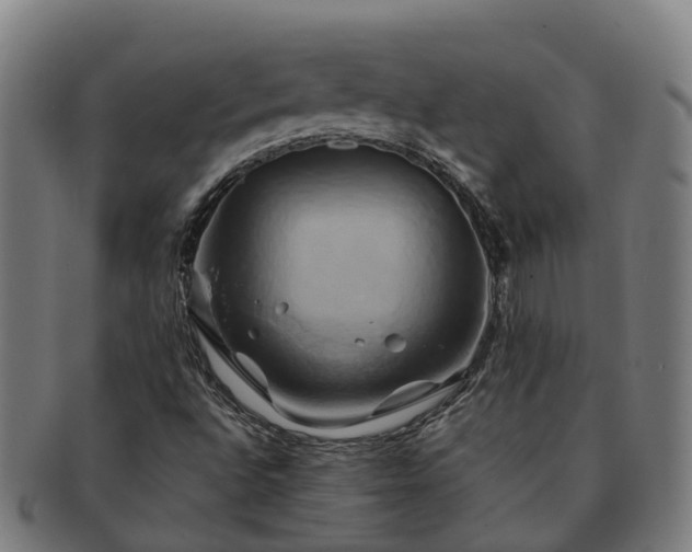 X0000091591496200708271231