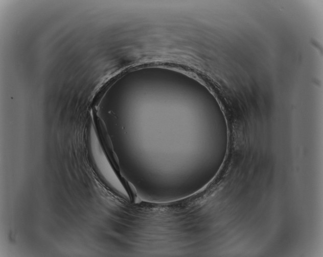 X0000091591497200708271231