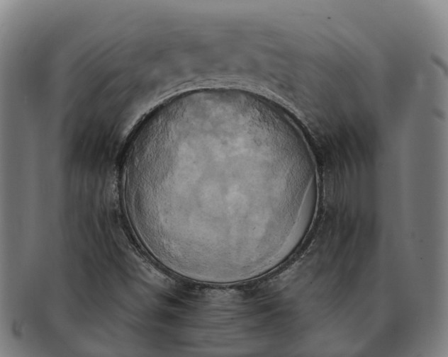 X0000091591498200708271231