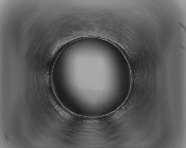 X0000091591499200708271231