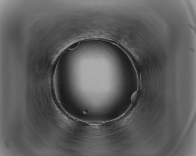 X0000091591500200708271231