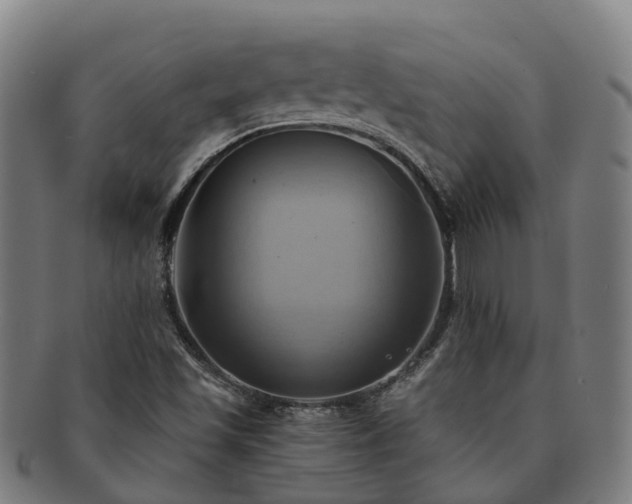 X0000091591501200708271231