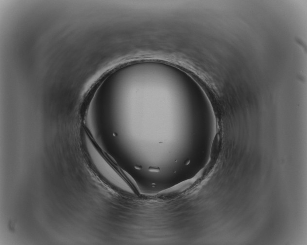 X0000091591502200708271231