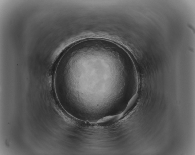 X0000091591503200708271231