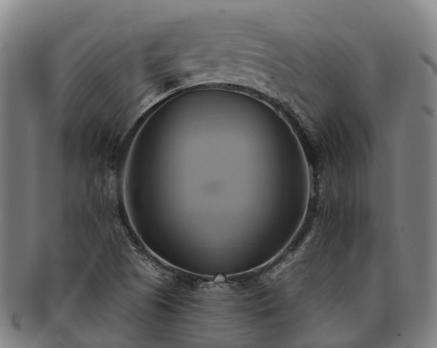 X0000091591505200708271231