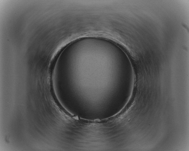 X0000091591506200708271231