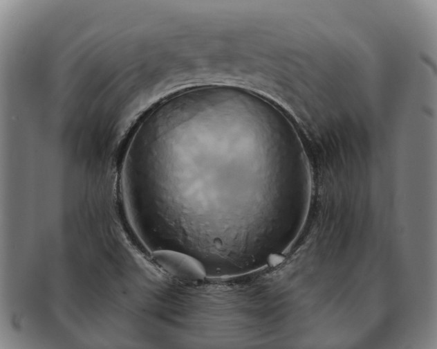 X0000091591507200708271231