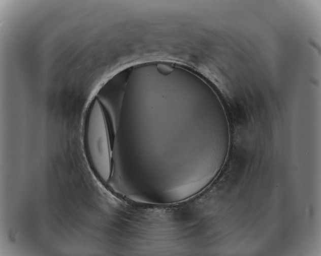 X0000091591508200708271231